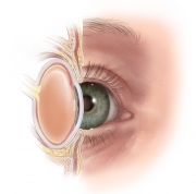 eye_normal