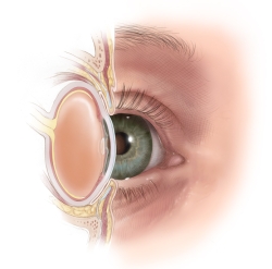 eye_normal