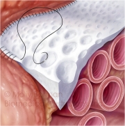 Bio-Tissue-copyright