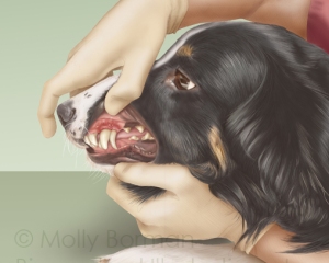 Dental-exam-copyright
